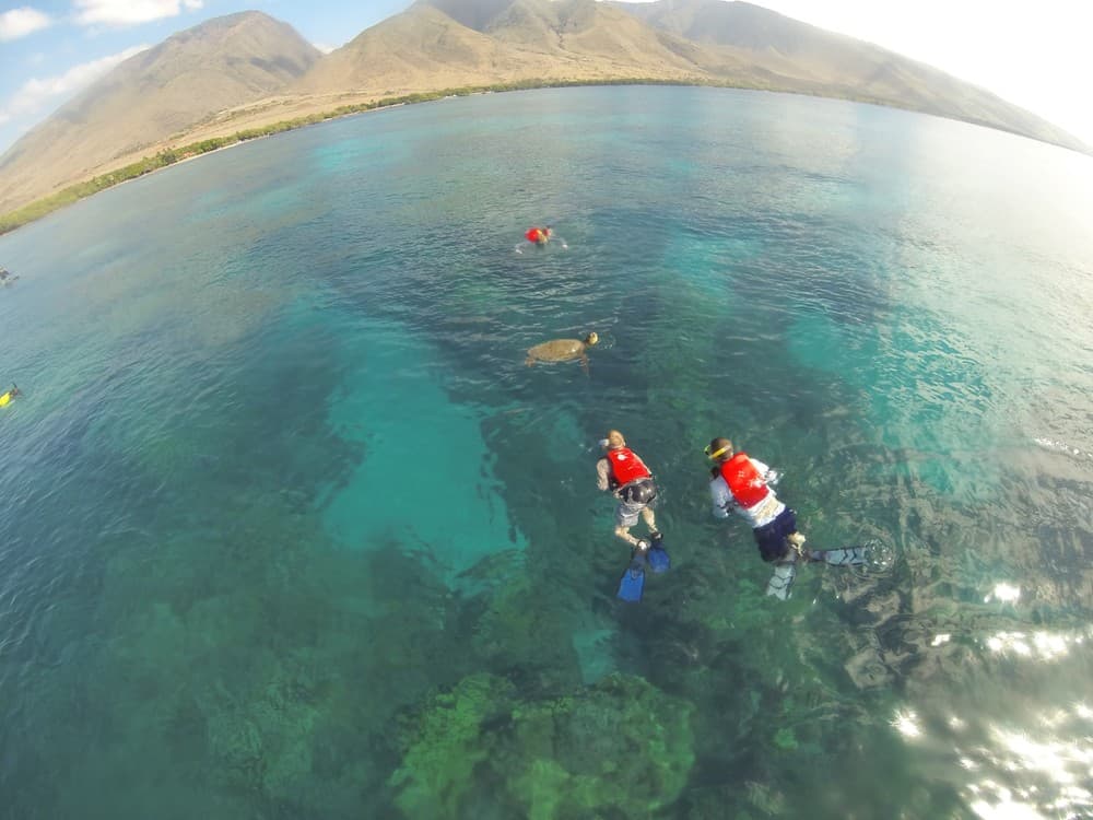 The ultimate Maui Experience