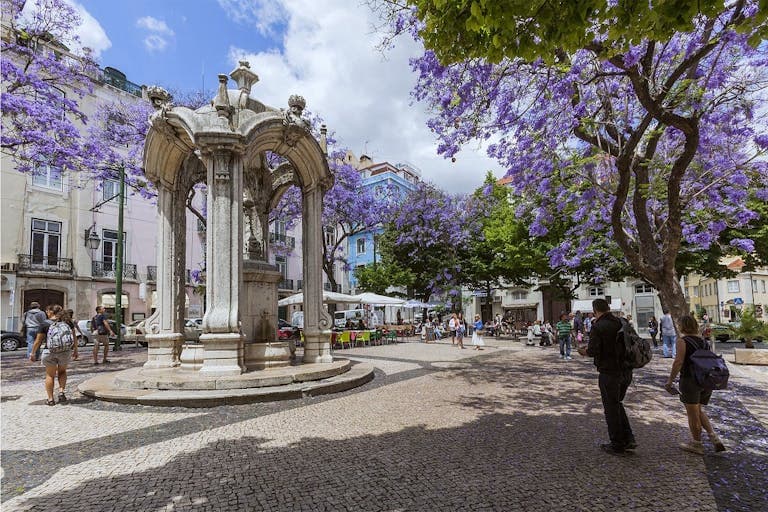 Lisbon Guided City Tour Half Day