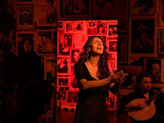 Lisbon Fado night tour with dinner