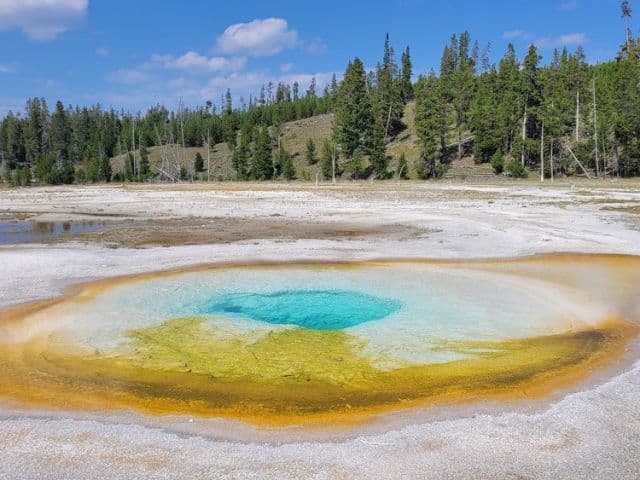 Yellowstone Private Tour