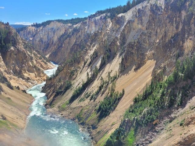 Yellowstone Northern Range Safari Tour from Cody