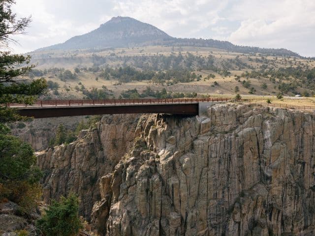 Yellowstone Northern Range Safari Tour from Cody
