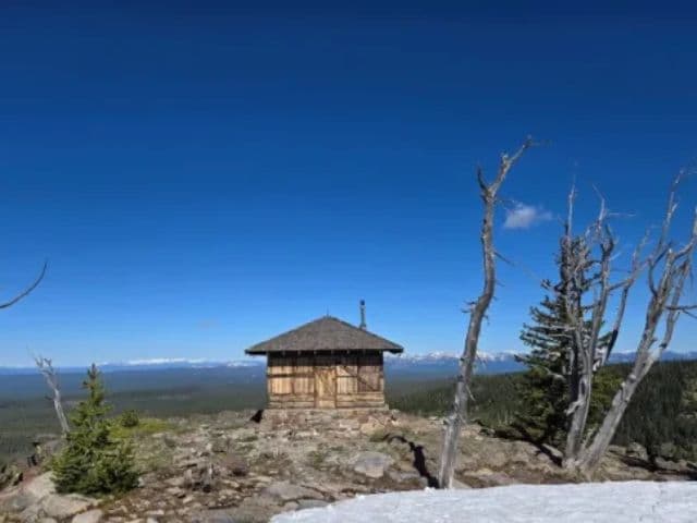 Yellowstone Northern Range Safari Tour from Cody