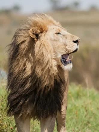 Kruger National Park