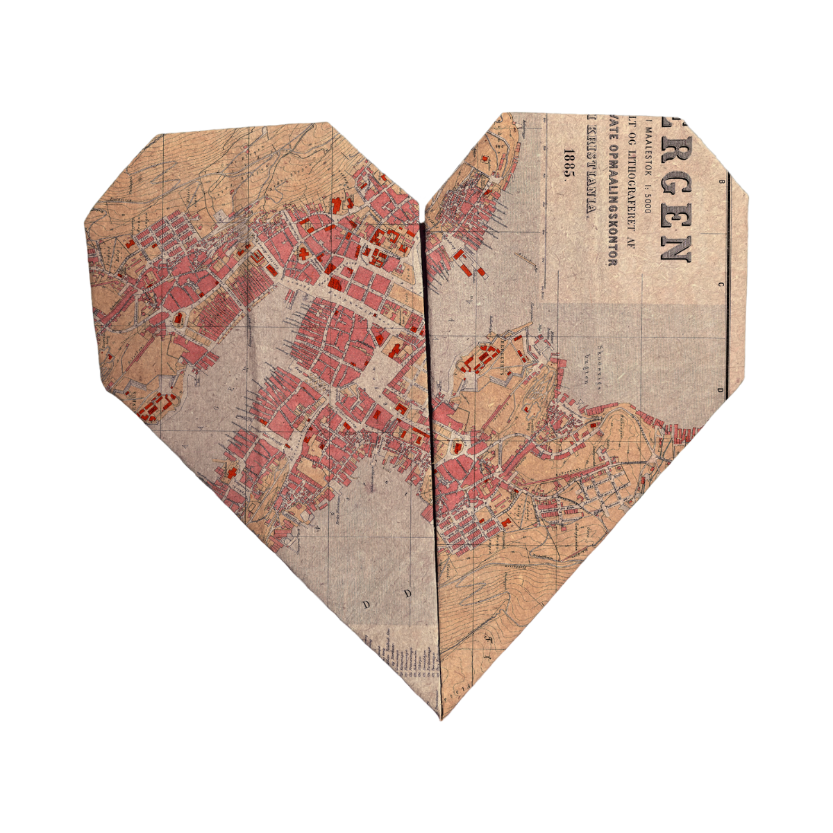 Rooted in the love for travel